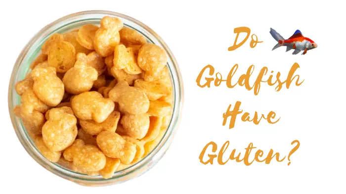 Do Goldfish Have Gluten?