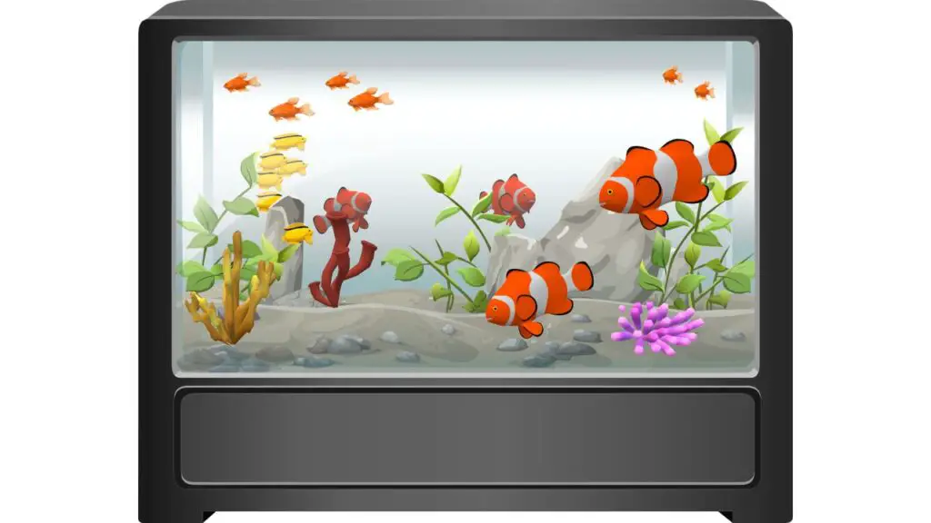 can-black-moor-goldfish-live-with-common-goldfish-an-in-depth-guide